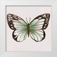 thumbnail image 1 of Tava Studios 12x12 White Modern Wood Framed Museum Art Print Titled - Emerald Butterly II, 1 of 4