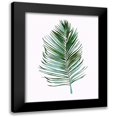 thumbnail image 1 of Tava Studios 12x14 Black Modern Framed Museum Art Print Titled - Sage Frond I, 1 of 5