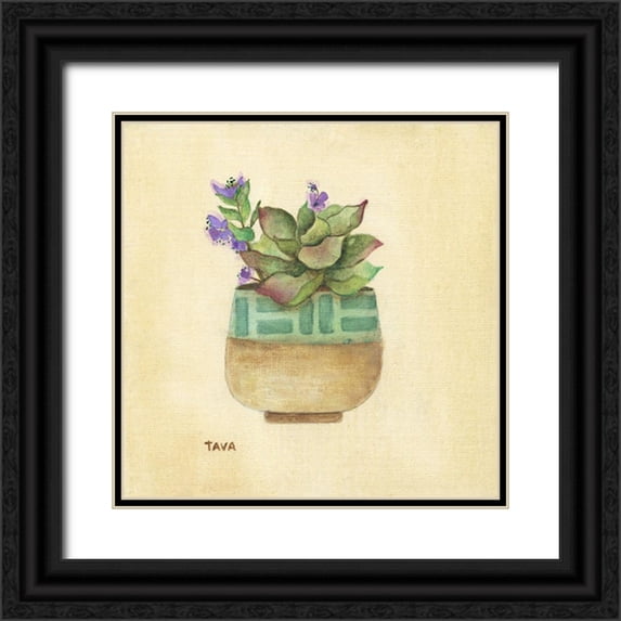 Tava Studios 20x20 Black Ornate Wood Framed with Double Matting Museum Art Print Titled - Flowering Succulent II