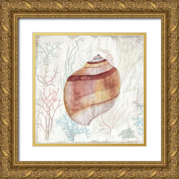 Tava Studios 20x20 Gold Ornate Wood Framed with Double Matting Museum Art Print Titled - Coral and Shell II