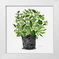 thumbnail image 1 of Tava Studios 20x20 White Modern Wood Framed Museum Art Print Titled - Herb Garden I, 1 of 4