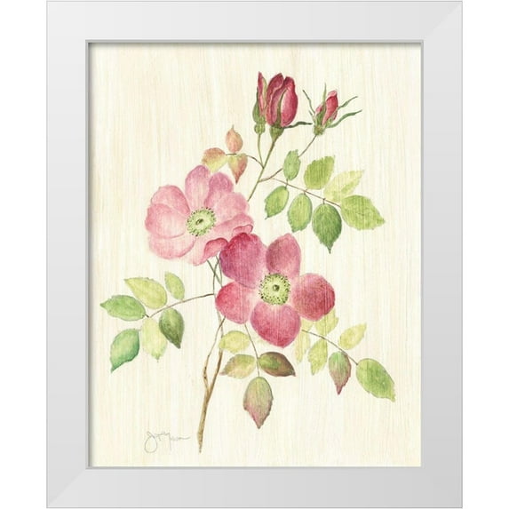 Tava Studios 20x24 White Modern Wood Framed Museum Art Print Titled - Dusty Rose I