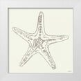 thumbnail image 1 of Tavoletti, Anne 12x12 White Modern Wood Framed Museum Art Print Titled - Coastal Breeze Shell Sketches VI Silver, 1 of 4
