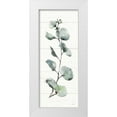 thumbnail image 1 of Tavoletti, Anne 15x32 White Modern Wood Framed Museum Art Print Titled - Modern Farmhouse XV, 1 of 4