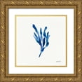 thumbnail image 1 of Tavoletti, Anne 20x20 Gold Ornate Wood Framed with Double Matting Museum Art Print Titled - Deep Sea Botanical I, 1 of 4
