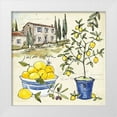 thumbnail image 1 of Tavoletti, Anne 20x20 White Modern Wood Framed Museum Art Print Titled - Citron III, 1 of 4