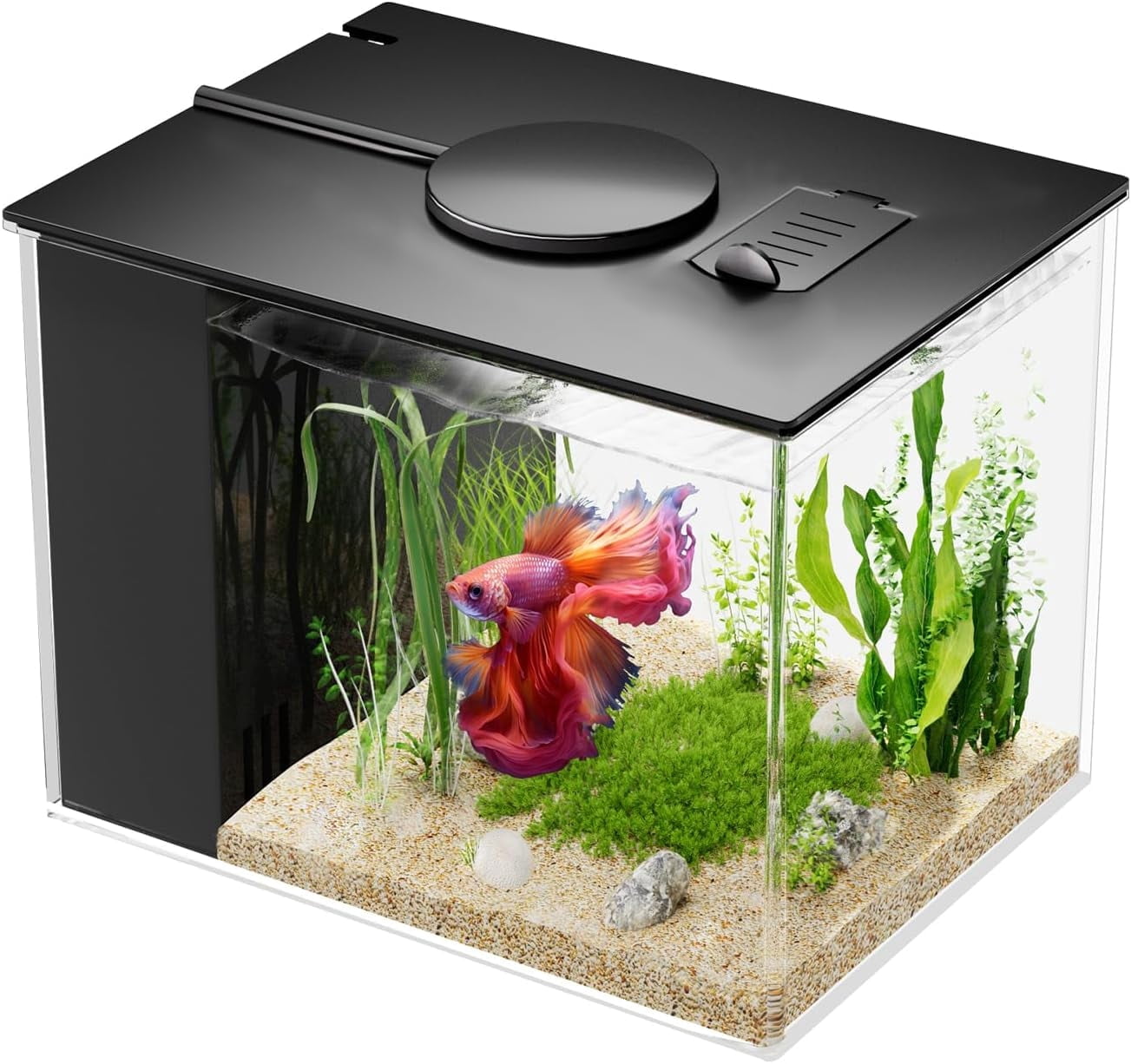 Tawatiler Fish Tank Kit, 2.9L Nano Aquarium with Filter and LED Light ...