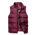 thumbnail image 1 of Tawop Jacket Men Vest Stand Collar Cotton Sleeveless Casual Solid Mens Clothes,Red,S, 1 of 7
