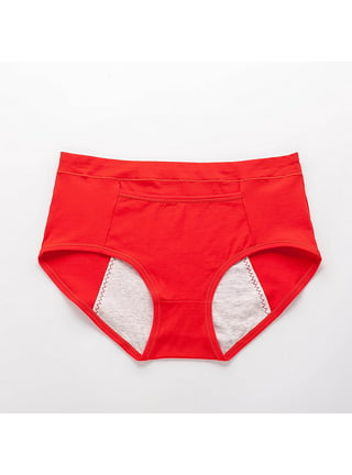 Women Underwear Brief Leak Proof Menstrual Period Panties