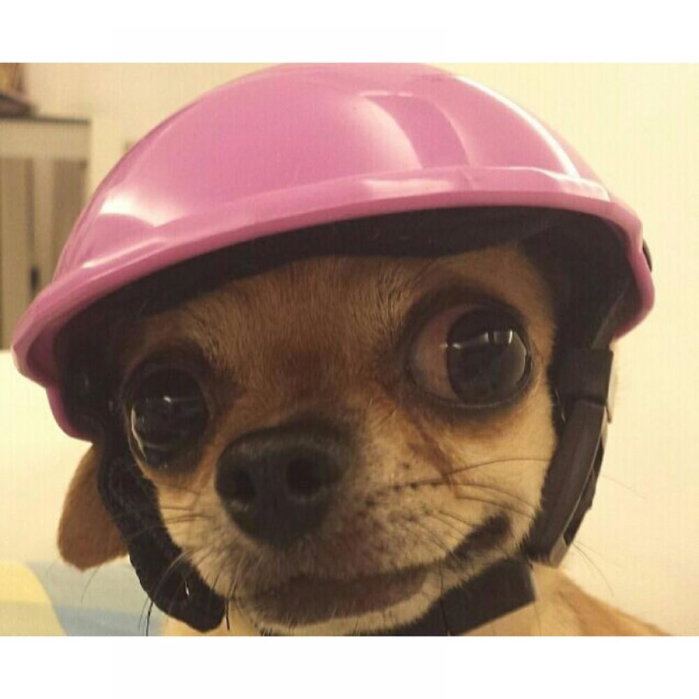 Taykoo Pet Helmet, Funny Cool Motorcycles Bike Helmet Hat Adjustable for Sun Rain Protection - Walmart.com Taykoo Pet Helmet, Funny Cool Motorcycles Bike Helmet Hat Adjustable for Sun Rain Protection - Walmart.com