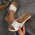 thumbnail image 1 of Taylonsss Women's Closed-Toe Chunky Heel Mule Sandals with Block Heel and Platform for Spring Summer Casual Wear, 1 of 9