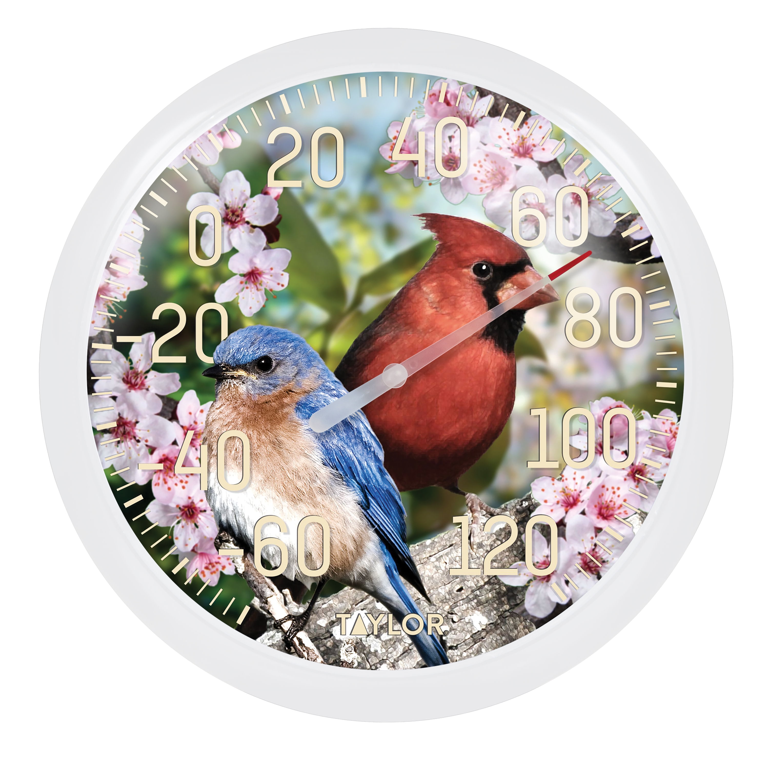 Cardinal Indoor Outdoor Wall Clock & Thermometer – Whitehall Products