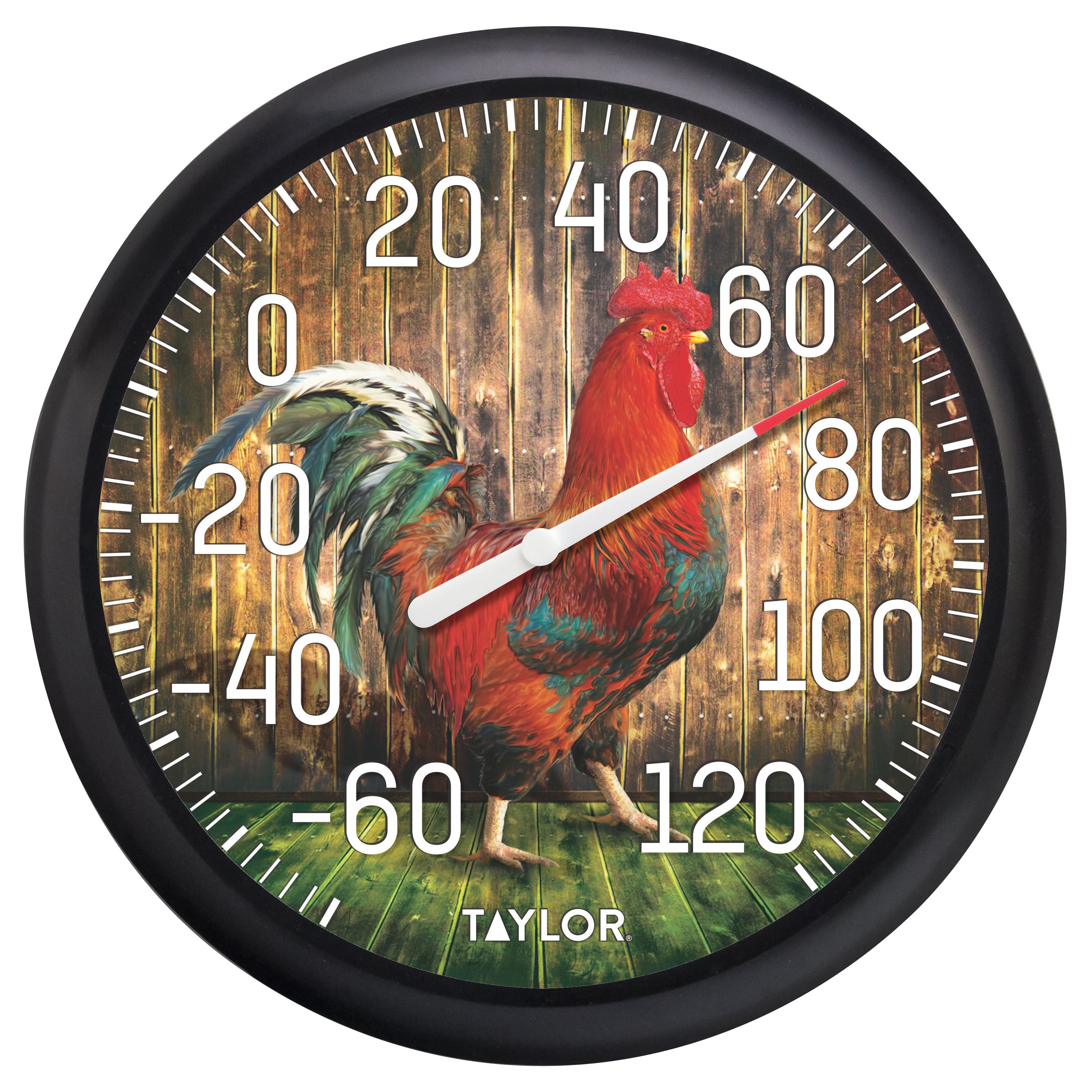 Taylor® Precision Products 13.25-inch Big And Bold Dial Outdoor