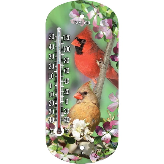 5204 8-Inch Blue Jay Indoor/Outdoor Tube Thermometer - Quantity 1