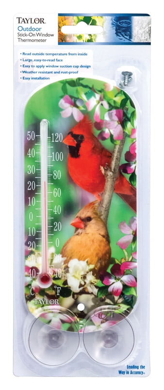 ORGILL Taylor Bird Design Tube Thermometer Plastic Multicolored 8 in.