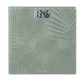 thumbnail interactive-video image 1 of Taylor Digital Glass body Weight Scale with Palm Leaf Design, Green, 1 of 11