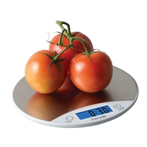 Taylor Digital Kitchen Food Scale, Measures up to 11 Lb., Stainless Steel