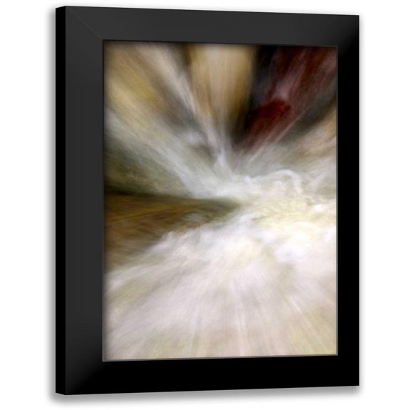 Taylor, Douglas 11x14 Black Modern Framed Museum Art Print Titled - After the Rain II