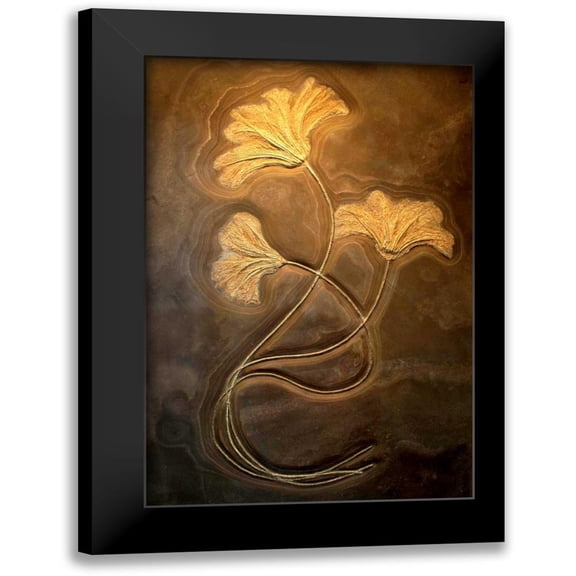 Taylor, Douglas 11x14 Black Modern Framed Museum Art Print Titled - Crinoids I