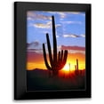 thumbnail image 1 of Taylor, Douglas 11x14 Black Modern Framed Museum Art Print Titled - Saguaro Sunset, 1 of 5