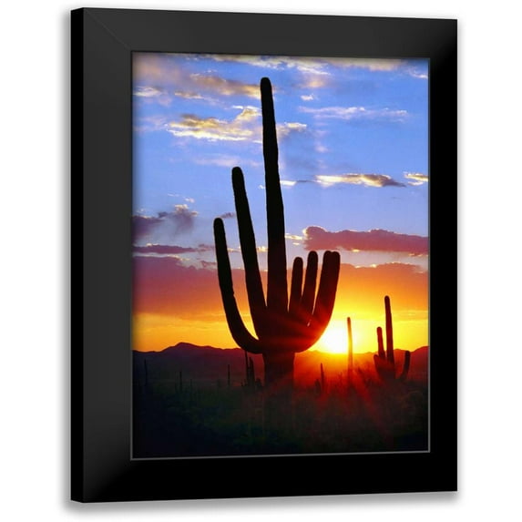 Taylor, Douglas 11x14 Black Modern Framed Museum Art Print Titled - Saguaro Sunset