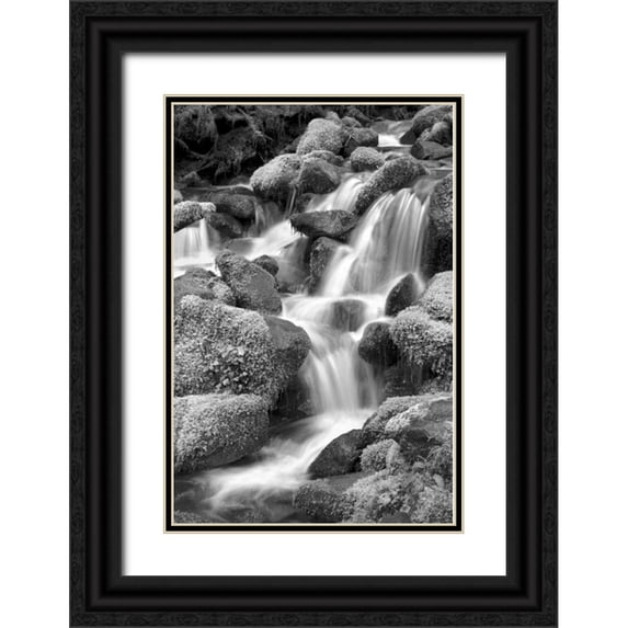 Taylor, Douglas 11x14 Black Ornate Wood Framed with Double Matting Museum Art Print Titled - Trailside Waterfall II BW