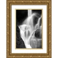 thumbnail image 1 of Taylor, Douglas 11x14 Gold Ornate Wood Framed with Double Matting Museum Art Print Titled - Falling Water IV BW, 1 of 4