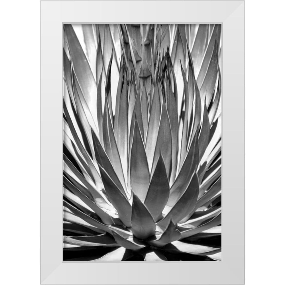 Taylor, Douglas 11x14 White Modern Wood Framed Museum Art Print Titled ...