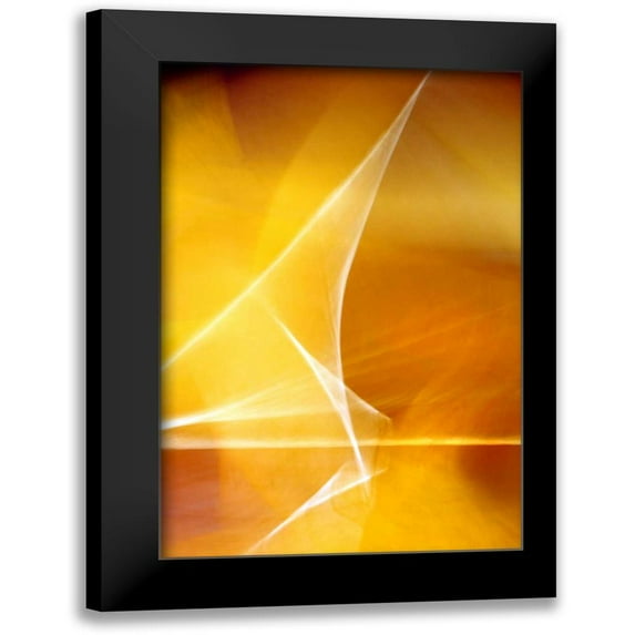 Taylor, Douglas 13x18 Black Modern Framed Museum Art Print Titled - Amber Refraction II