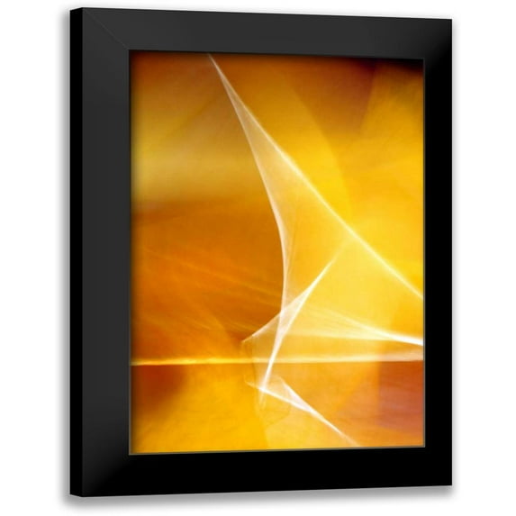 Taylor, Douglas 13x18 Black Modern Framed Museum Art Print Titled - Amber Refraction I