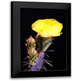 thumbnail image 1 of Taylor, Douglas 13x18 Black Modern Framed Museum Art Print Titled - Beginning the Month of Yellow, 1 of 5