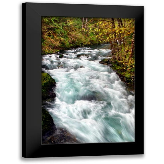 Taylor, Douglas 13x18 Black Modern Framed Museum Art Print Titled - Hamma Hamma River