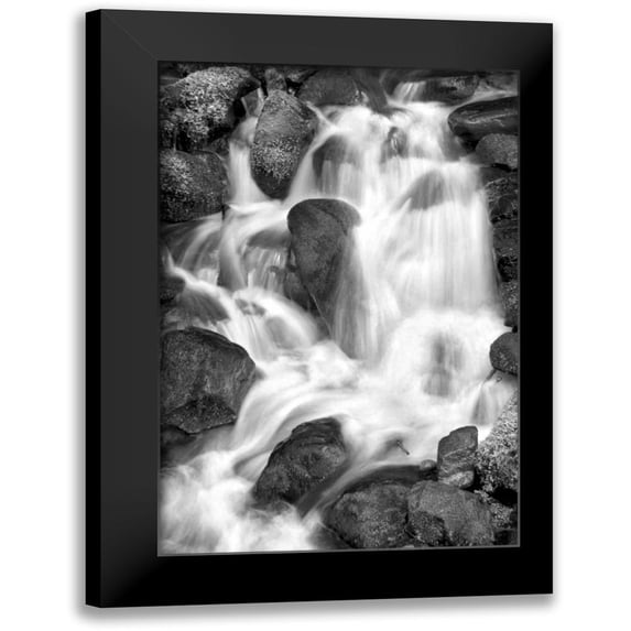 Taylor, Douglas 13x18 Black Modern Framed Museum Art Print Titled - Trailside Waterfall IV BW