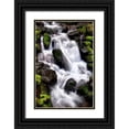 thumbnail image 1 of Taylor, Douglas 13x18 Black Ornate Wood Framed with Double Matting Museum Art Print Titled - Trailside Waterfall I, 1 of 4