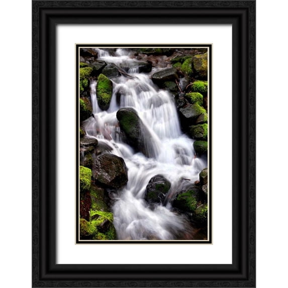 Taylor, Douglas 13x18 Black Ornate Wood Framed with Double Matting Museum Art Print Titled - Trailside Waterfall I