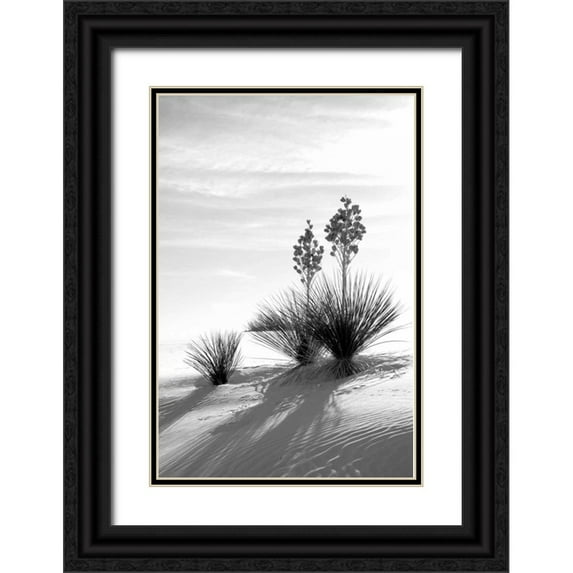 Taylor, Douglas 13x18 Black Ornate Wood Framed with Double Matting Museum Art Print Titled - Yucca At White Sands II
