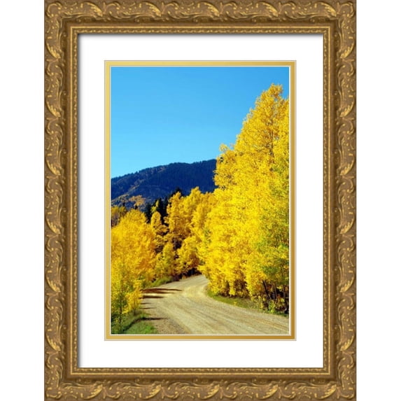 Taylor, Douglas 13x18 Gold Ornate Wood Framed with Double Matting Museum Art Print Titled - Colorado Color I