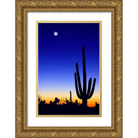 Taylor, Douglas 13x18 Gold Ornate Wood Framed with Double Matting Museum Art Print Titled - Winter Earthshine
