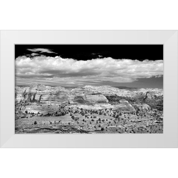 Taylor, Douglas 14x10 White Modern Wood Framed Museum Art Print Titled - Slick Rock County BW