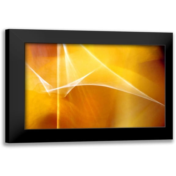 Taylor, Douglas 14x11 Black Modern Framed Museum Art Print Titled - Amber Abstract II