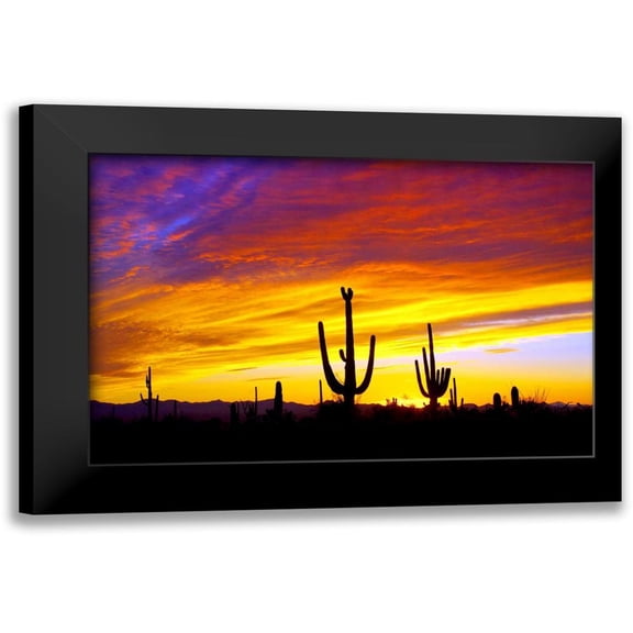 Taylor, Douglas 14x11 Black Modern Framed Museum Art Print Titled - Equinox Sunset