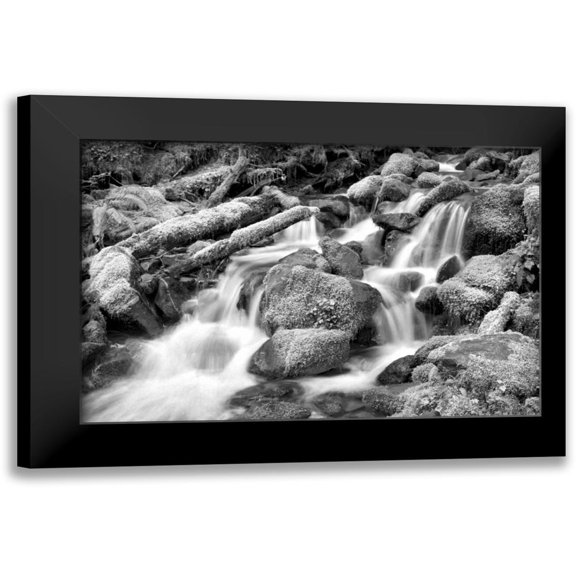 Taylor, Douglas 14x11 Black Modern Framed Museum Art Print Titled - Forest Stream BW