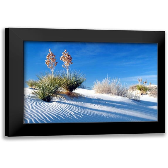 Taylor, Douglas 14x11 Black Modern Framed Museum Art Print Titled - Sand Shadows II