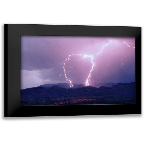 Taylor, Douglas 14x11 Black Modern Framed Museum Art Print Titled - Striking Symmetry I