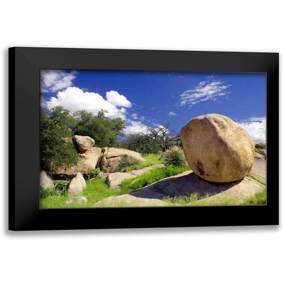 Taylor, Douglas 14x11 Black Modern Framed Museum Art Print Titled - Texas Canyon Rocks I
