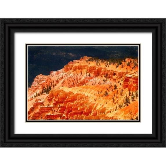 Taylor, Douglas 14x11 Black Ornate Wood Framed with Double Matting Museum Art Print Titled - Illuminated