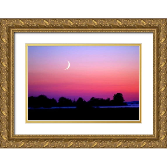Taylor, Douglas 14x11 Gold Ornate Wood Framed with Double Matting Museum Art Print Titled - Crescent at Twilight