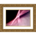 thumbnail image 1 of Taylor, Douglas 14x11 Gold Ornate Wood Framed with Double Matting Museum Art Print Titled - Flying A, 1 of 4