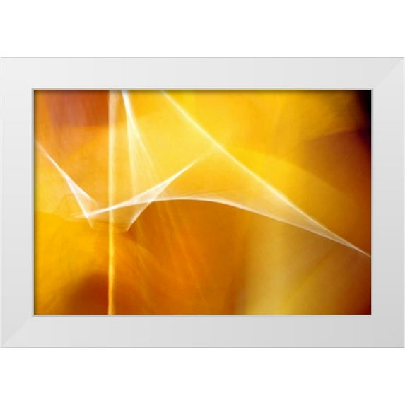 Taylor, Douglas 14x11 White Modern Wood Framed Museum Art Print Titled - Amber Abstract II