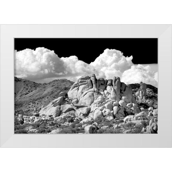 Taylor, Douglas 14x11 White Modern Wood Framed Museum Art Print Titled - Texas Canyon Rocks BW
